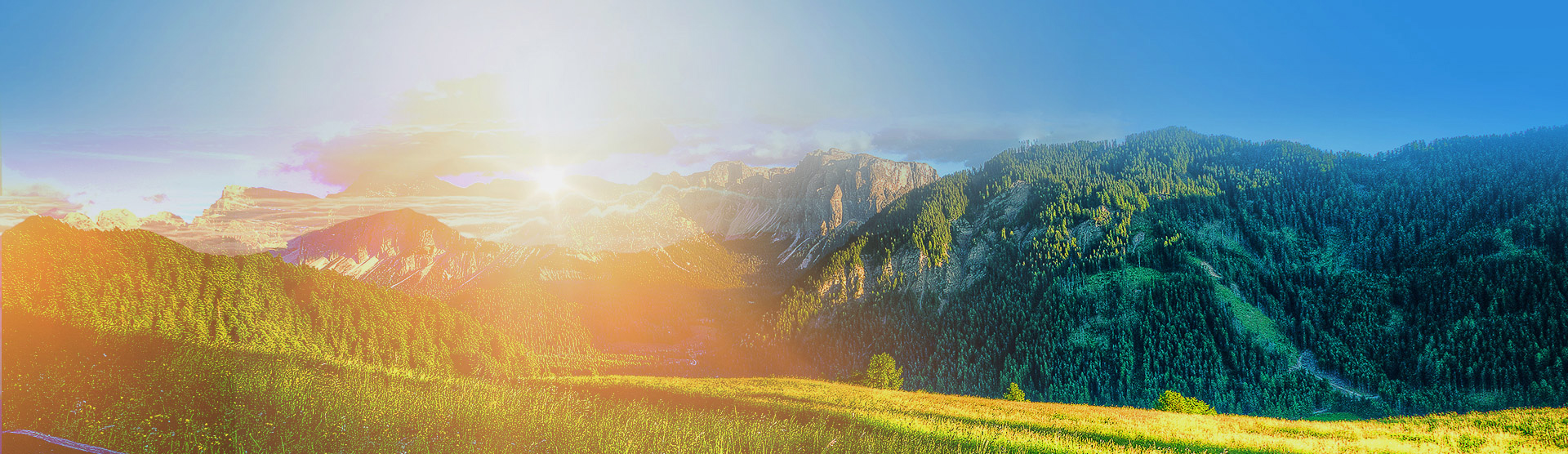 杭州纽龙生物科技有限公司